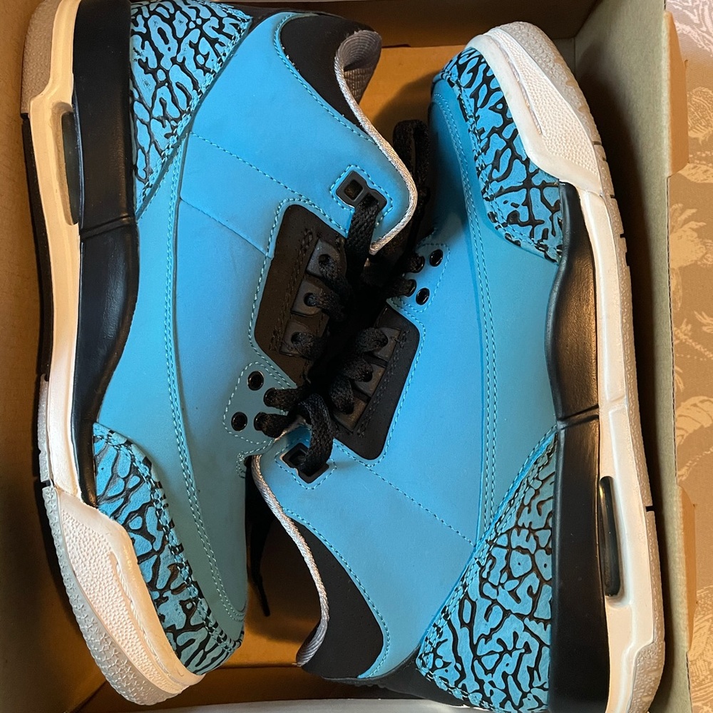 Air Jordan 3 retro